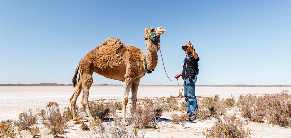Camel Wrangler Chris O'Hora with Sonic the camel in the desert.