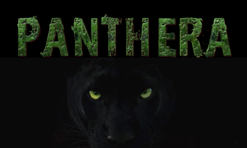 Image of a panther with green eyes with text that reads: "Panthera"